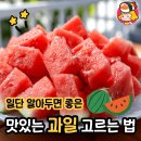 스카이닭유통 디너의 여왕