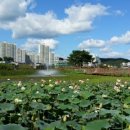 들성생태공원 이미지