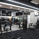 단풍나무짐 이미지