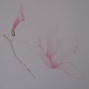 꽃그림 보타니컬아트 이미지