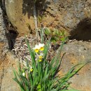 신평휴게소 이미지