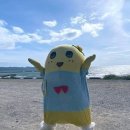 꾸브라꼬숯불치킨 이미지