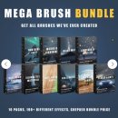 [포토샵 주말 특강] 2월 4주차 : Mega Brush Bundle /Create Flawless & Seamless Backdrop 이미지