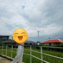 카페치즈태비 | 제주 동쪽 구좌읍 카페 치즈태비 주차, 솔직 후기