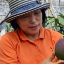 수경농장 이미지