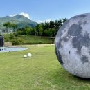 거대한 뿌리, #구미 #신라불교초전지가 왜 의미있나?