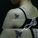 [타투문신]나비타투,나비문신,어깨타투,홍대타투 이미지