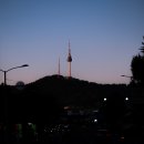 스냅 촬영의 새 규칙. 보이그랜더 APO-Skopar 75mm f2.8 렌즈
