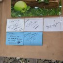 착한짜장 | 증평 [대선 짜장] 후기 : 가성비 좋은 착한 맛집(증평 맛집, 증평군 맛집, 증평 가볼만한 곳)