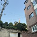 청춘헬스클럽 | 6月 부상여름