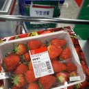 (주)세일 | [내돈내산] 롯데마트 끝장세일 딸기 득템 후기! 4월 둘째 주 장보기 성공