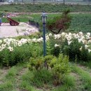 행복한나무집 이미지