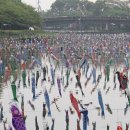 世界一鯉のぼりの里祭り 이미지