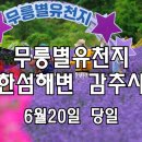라벤더 향, 동해 무릉별유천지 + 한섬 감성바닷길~감추사 이미지
