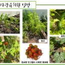 6월의 참사랑텃밭🌱 이미지