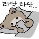 에브리데이크리스마스 이미지