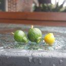 미성민박 이미지