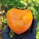 이가농장 이미지