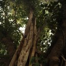 프라자호텔 이미지