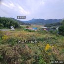 동남다원공인중개사사무소 | 전남보성 대한다원인근마을내 나대지 160평매매
