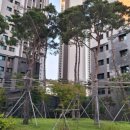 대연혁신리더어린이집 이미지