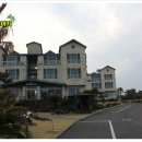 씨에코비치 이미지