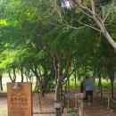 이풀실내정원 이미지