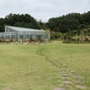 사명대사공원 잔디광장 이미지