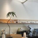 롬브 커피 하우스 이미지