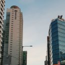 주식회사 낙지볶음 개미집
