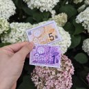 산돌어린이도서관 | 아이와 함께 가볼만한 &#39;2025 월아산 수국정원 축제&#39; 스탬프투어 후기