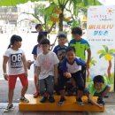 양지동 주민센터 이미지