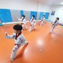 성산태권도 2관 이미지