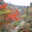 대구 정심종합무술관 | **금강산 산행기**