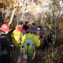 11월30일(토요일)대모산 구룡산 정기산행 안내 (산행후 정모장소로 합류) 이미지