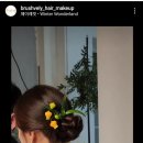 브러쉬블리(brushvely)
