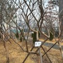 동삭1교 이미지