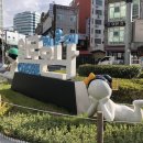 동백로29번길 JTBC