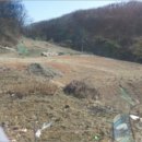 쌍령동-2 이미지