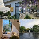 보라보라펜션 | 제주 구좌읍 숙소 여유를담다 제주도 예쁜 감성숙소 추천