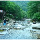 제107차 경남 밀양 가지산(1240m)정기산행(8월13일) 이미지