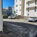 제주항칼치 이미지