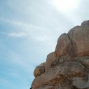 팜스프링 이미지