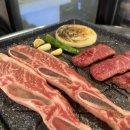 바이소 이미지