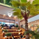 [전주/신시가지] 분위기 좋은 대형카페 네잎클로버 four leaf clover coffee bakery