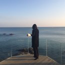 요기사이소 이미지