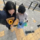 여명플라워 이미지