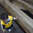 최고짐 서창점 | 인천 실내 아이와함께 가볼만한곳 인천실내동물원 쥬벅스