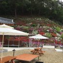 선암한옥펜션 이미지