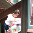 금광동 물놀이장 이미지